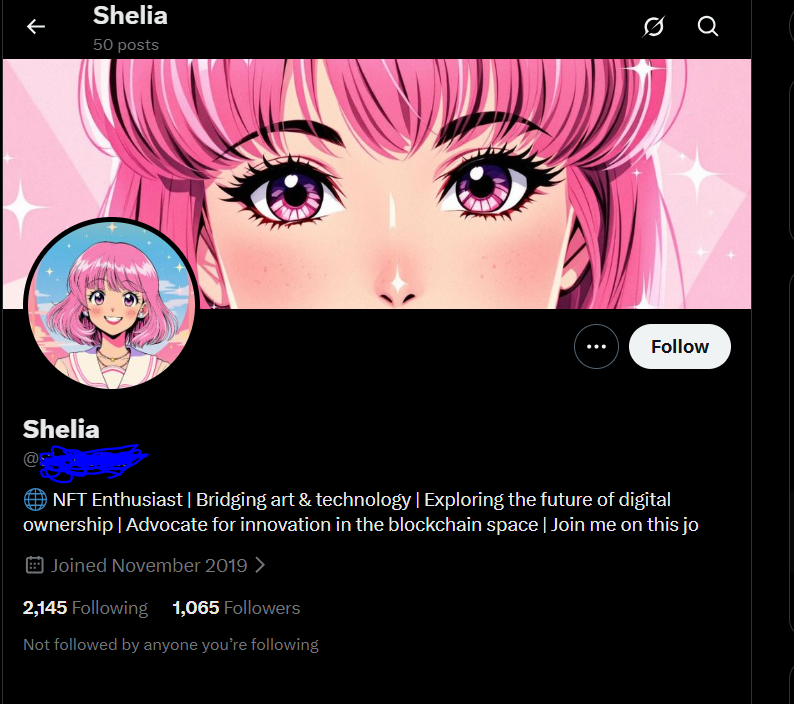 NFT Twitter Account 800-1000 Followers - Crypto Niche - 2009-2022 Aged - Grown by Follow Unfollow